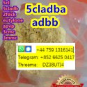 5CL-ADB-A 5CLADB ADBB CAS 137350-66-4
