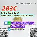 99% 2B3C 2B4C CAS 34911-51-8/877-37-2 2-Bromo-3'-chloropropiophenone Fast Delivery to EU Tele@VinnieVendor