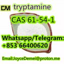 Chinese 99% high purity tryptamine CAS 61-54-1 With best price and safe delivery