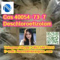 Cas 40054-73-7  Deschloroetizolam