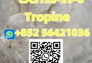 CAS 120-29-6 Name: Tropinol