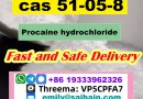 Procaine hydrochloride cas 51-05-8 Factory Price Chemical Products