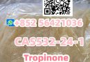 CAS 532-24-1 Name: Tropinone