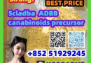 Wholesale 5cladba,5CL-ADBA,5CL for sale by best price +85251929245