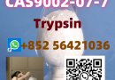 CAS: 9002-07-7 Name: Trypsin
