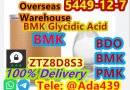 CAS 5449-12-7 BMK Glycidic Acid (sodium salt) Professional Supply with Fast and Safe Delivery