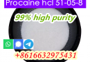 Procaine Hydrochloride 51-05-8