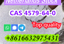 High quality CAS 4579-64-0 D-Lysergic acid