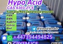 Hot Selling Hypo Acid CAS 6303-21-5 Hypophosphorous Acid Tele@VinnieVendor