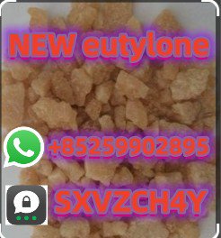 Hot product new EU new eutyonge  +85259902895