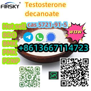 99% purity Steroid 5721-91-5 Testosterone decanoate white powder +8613667114723