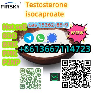 99% purity Steroid 15262-86-9 Testosterone isocaproate white powder +8613667114723