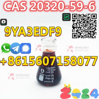 Bulk available CAS 20320-59-6 Diethyl(phenylacetyl)malonate red/yellow liquid