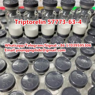 High Quality 99% Triptorelin 57773-63-4