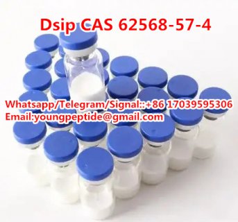 Neuropeptide Delta Sleep Inducing Peptide Dsip CAS 62568-57-4 Dsip