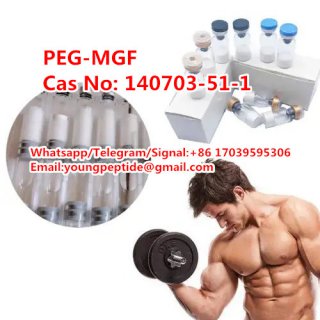 Factory supply bodybuilding Peptide PEG-MGF 140703-51-1