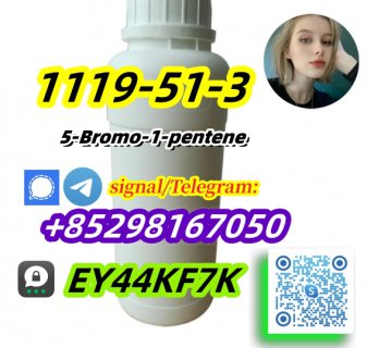 Factory wholesale 5-Bromo-1-pentene 1119-51-3