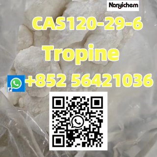 CAS 120-29-6 Name: Tropinol