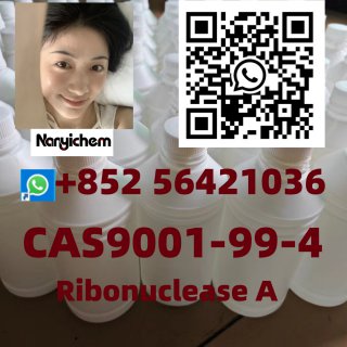 Cas 9001-99-4    Ribonuclease A