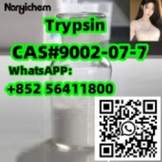 CAS 9002-07-7   Trypsin
