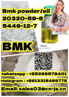 Factory Outlet Bmk powder/oil 20320-59-6 5449-12-7