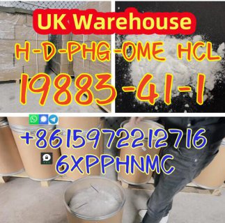 19883-41-1 H-D-PHG-OME HCL large sale UK Warehouse