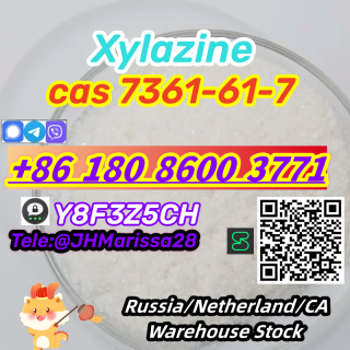 CAS 7361-61-7 Xylazine Threema: Y8F3Z5CH