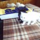 Персийски котета