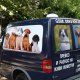 ПРЕВОЗ и разнос на ЖИВОТНИ „Zoo Transport” – КУЧЕТА,КОТКИ,ПТИЦИ