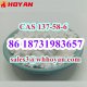 CAS 137-58-6 Lidocaine China Manufacturer High Quality