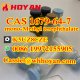 Factory High quality mono-Methyl terephthalate powder CAS 1679-64-7
