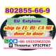 CAS 802855-66-9 Euty lone CAS no 17764-18-0 EU 10 Days Arrive