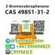 Factory Factory 2-Bromo-1-phenyl-pentan-1-one CAS 49851-31-2 Tele@VinnieVendor