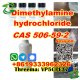Dimethylamine hydrochloride cas 506-59-2 China quality supplier Safe Delivery