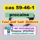 Procaine cas 59-46-1 Fast Delivery Strong effect Door to Door Sample available
