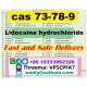 Lidocaine hydrochloride cas 73-78-9 Global Supply 99% Purity