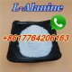 China factory supply L-Alanine cas 56-41-7 with good price