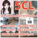 Hot Selling 5CL adbb adba137350-66-4
