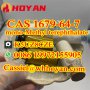 MMT CAS 1679-64-7 mono-Methyl terephthalate powder supplier