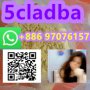 High purity, best price, guarantee your satisfaction5cladba