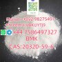Wholesale high purity and best price white powder CAS 20320-59-6