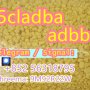 ADBB,5cladba  high quality supplier 100% purity, safe transportation.
