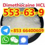 High QualityDimethocaine Hydrochloride CAS 553-63-9