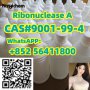 CAS 9001-99-4    Ribonuclease A