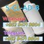 Supply Sample 5cladba5CLADBA 5CL-ADB-B Noids kit main precusor raw materials+852 9471 9804