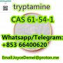 Factory supply high quality Tryptamine CAS 61-54-6 white powder with best price and safe delivery